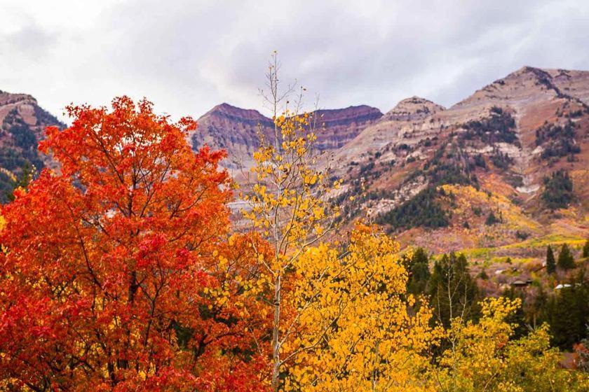 Log Cabin On The Stream Sundance, Utah Exterior foto